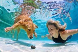 cesar millan 3